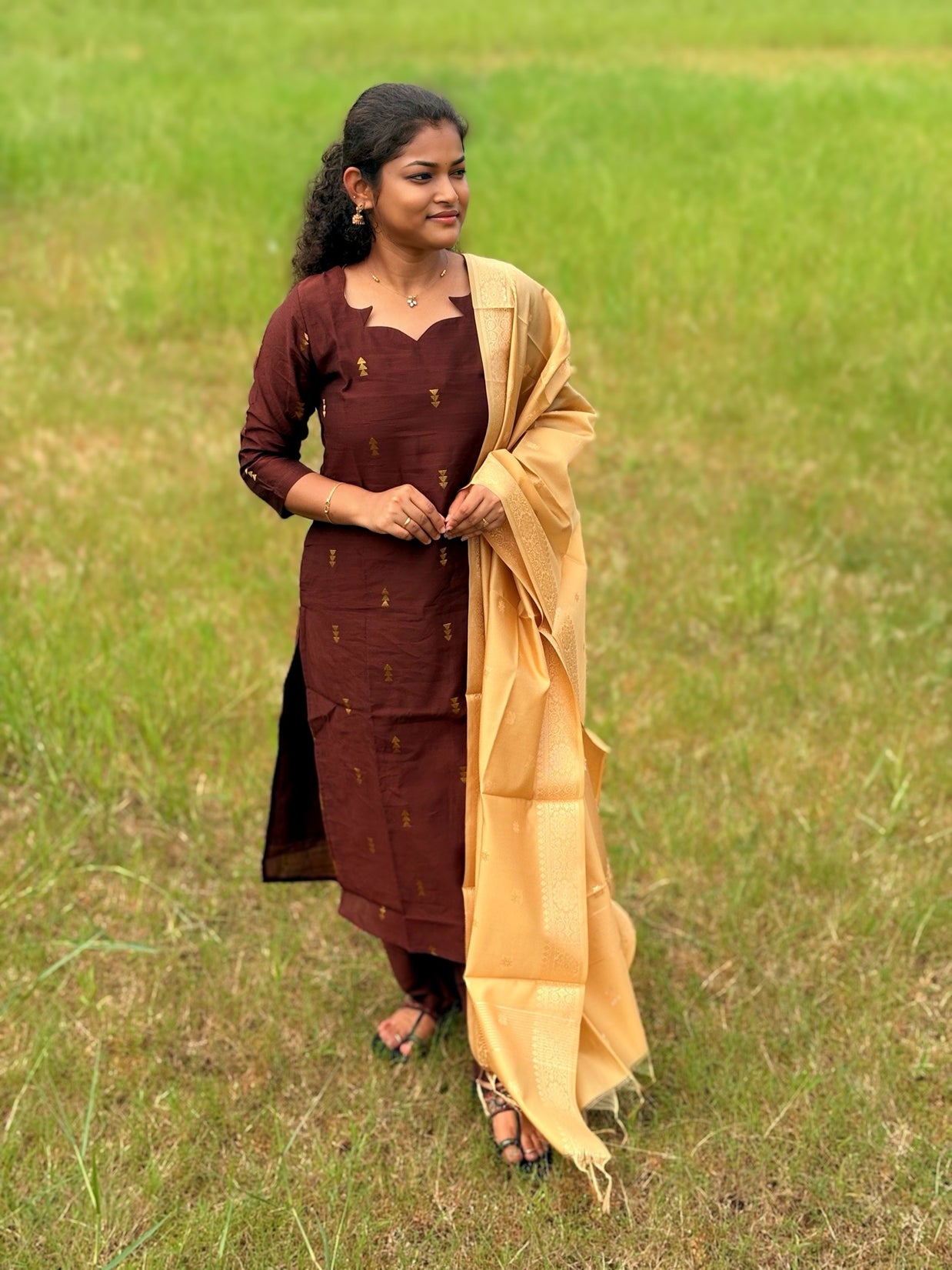 Walnut Dusk Salwar Suit