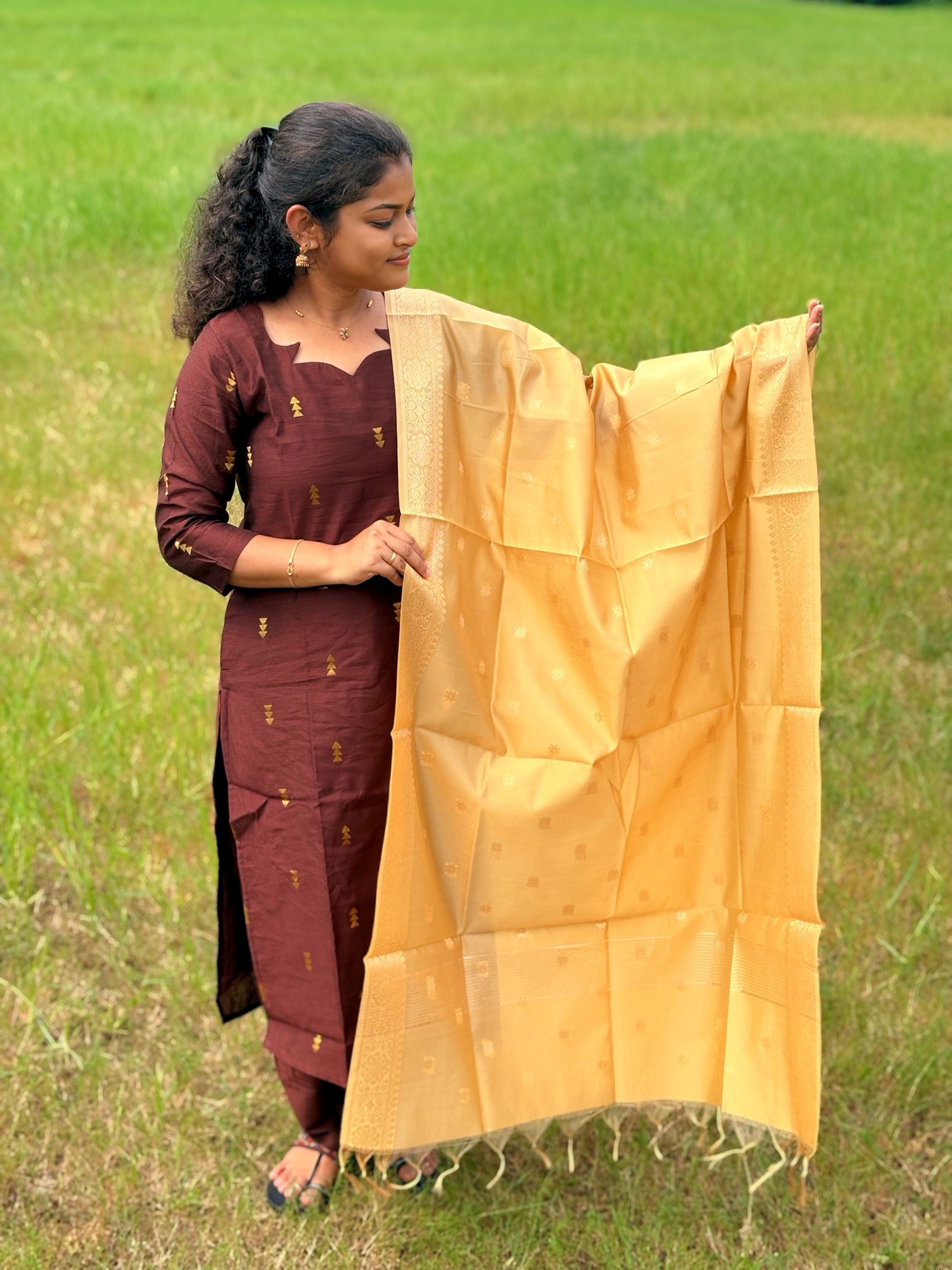 Walnut Dusk Salwar Suit