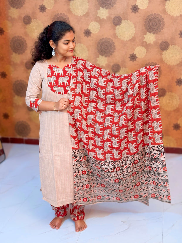 Varnika Salwar Suit - VRN 1218